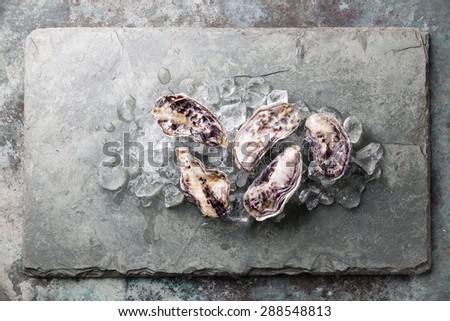 Five fresh raw Oysters on stone background with ice