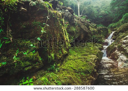 waterfall in the deep rain forest at south of Thailand Royalty-Free Stock Photo #288587600