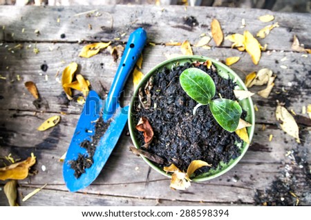sprout pumpkin and Gardening shovel Royalty-Free Stock Photo #288598394