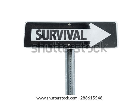 Survival direction sign isolated on white 