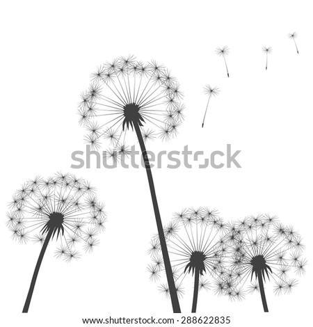 Black vector dandelions