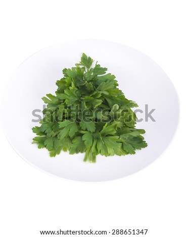 concept Christmas tree of parsley on the plate with white background