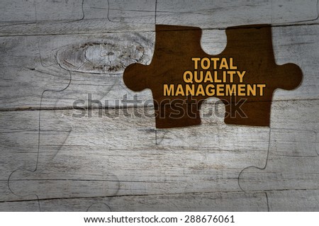 Wood Puzzle: Total Quality Management