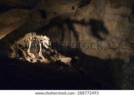 Lighted cave bear skeleton.