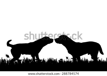 Vector silhouette of a dog in nature.