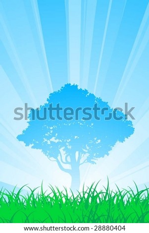 Summer tree