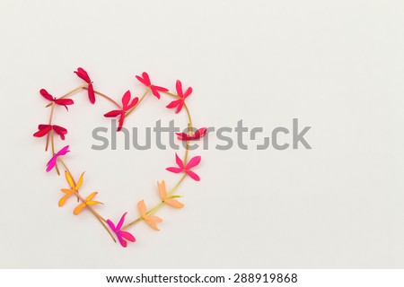 Heart shaped pink red yellow flowers on white background
