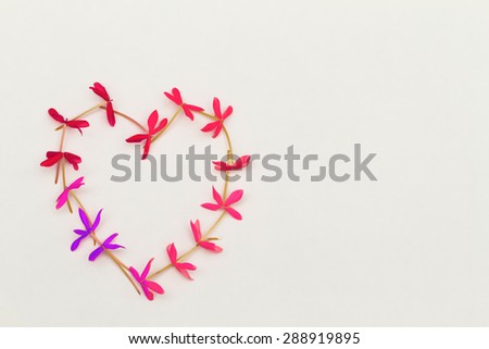 Heart shaped pink purple flowers on white background
