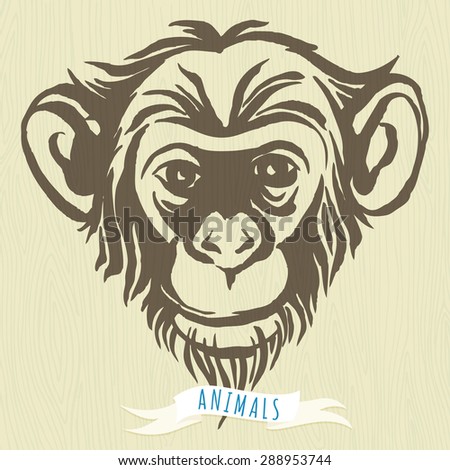 Vector illustration  Hand drawn portrait of  monkey chimpanzee. 