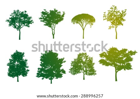Tree Color Silhouette
