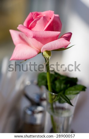 picture of fresh rose in glass bowl