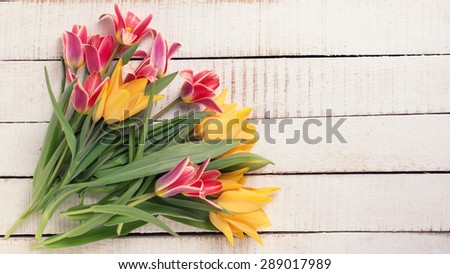 Fresh  spring yellow and pink  tulips flowers  on white  painted wooden planks. Selective focus. Place for text. Toned image.