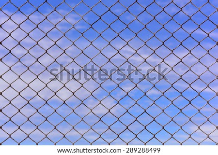 Texture the cage metal net isolate on blue sky background