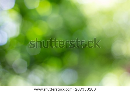 Natural Bokeh,blurred bokeh,blur background.Green bokeh from tree.