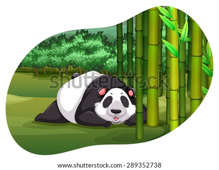 Cute panda lying on a grass with bamboo trees on the side