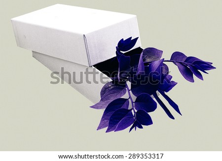 Environment concept :purple leaves come out from boxes isolated on 50% Gray background.