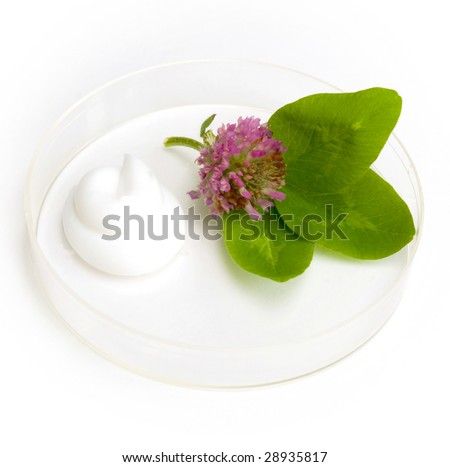 the cream and herb image in a glass saucer