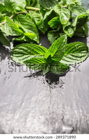 Fresh mint bunch on wet slate background, place for text, frame