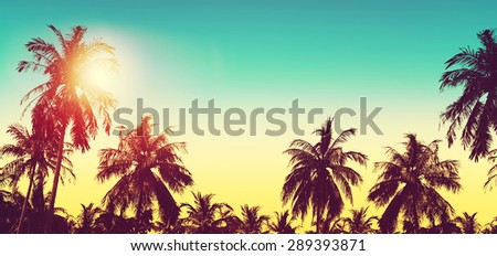 Tropical paradise design banner background. Coconut palm tree silhouettes at sunset. Panoramic view. Vintage effect.
