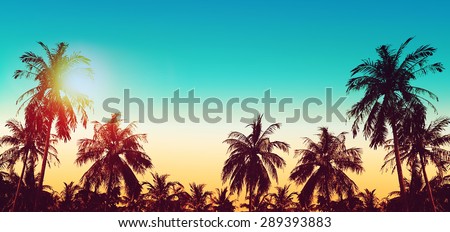 Tropical paradise design banner background. Coconut palm tree silhouettes at sunset. Panoramic view. Vintage effect.