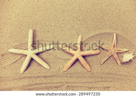 starfish with frame on the beach, vacation memories                               