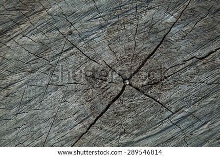 background wood Barks