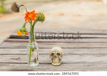 Still life skull  flower on wood table background