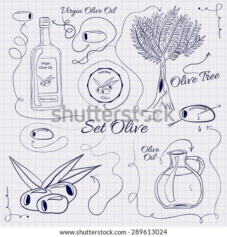 A large collection of stand-alone sketch olives for design on a sheet of paper into the cage. Vector illustration