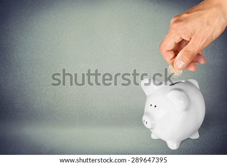 Piggy Bank, Savings, Cheap. Royalty-Free Stock Photo #289647395