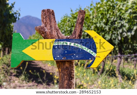 Brazil Flag wooden sign with vineyard background