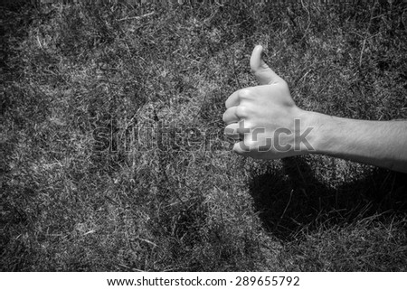 Thumbs up sign against the grass on a sunny day