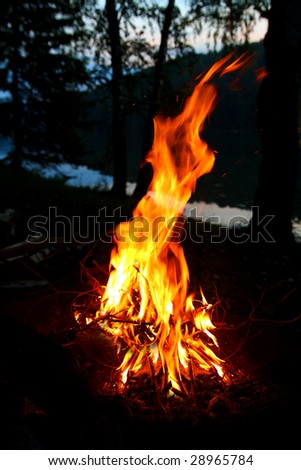 big bonfire flame in dusk camping