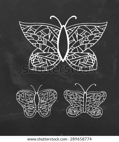 Three species of butterflies drawing on chalkboard. Vector