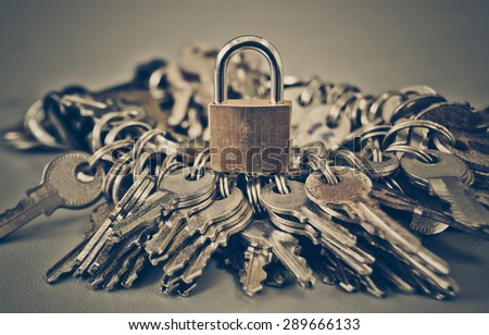 a bunch of keys and a security lock