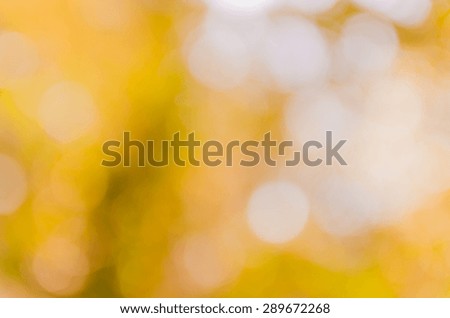Bright bokeh nature background from tree shade