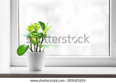 Window, sill, clean. Royalty-Free Stock Photo #289682624