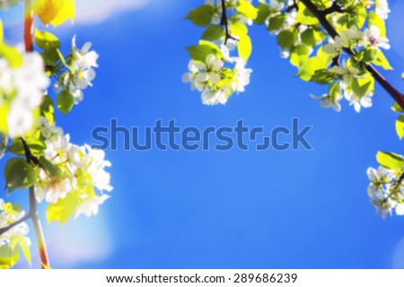 Stock photo blurred tree with flowers with background