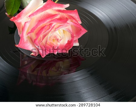 Pink rose lying on musical vinyl disc
