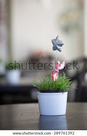 Image of star in pot, blur background