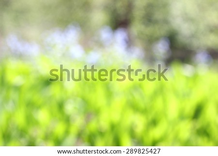 blurred picture of flowers and trees in nature