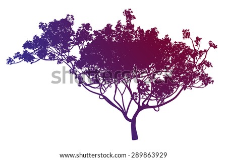 Tree Color Silhouette