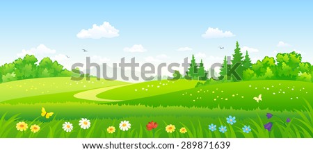 Vector illustration of beautiful summer forest fields