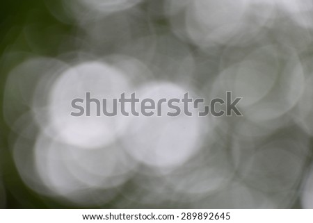 Natural green forest bokeh background