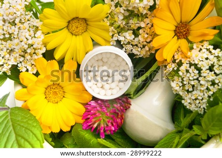 the image homoeopathic granules and herbs