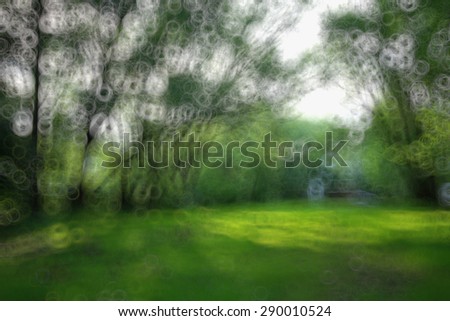 blurred background foliage