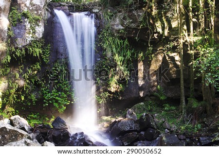 Curtis Falls located in Mount Tamborine during the day. Long exposure. Royalty-Free Stock Photo #290050652