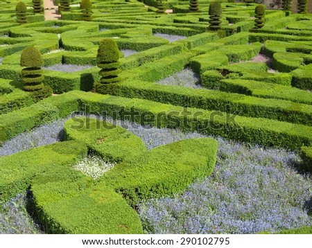 a view of a green labyrinth