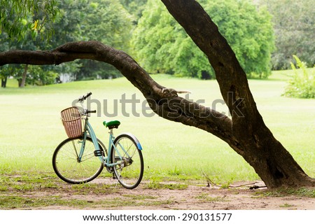 Squirrel interesting in Old and vintage bicycle on green grass under the big tree in the park during summer time