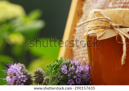 Honey in a glass jar with flowers of Phac?lia and bee honeycombs against greens. Honey with flowers and honeycombs close up