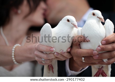 Happy young married couple kissing and holding two white pigeons as symbol of peace in hands, horizontal picture